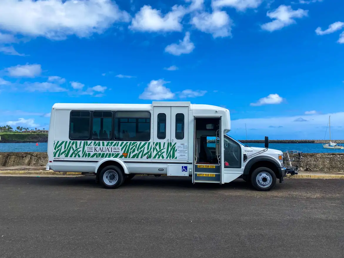 mid size paratransit buses are great for increased transportation needs